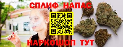 гидропоника Тара
