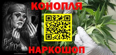 гидропоника Тара