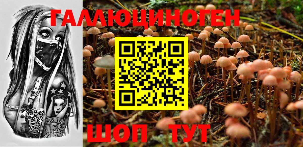 Галлюциногенные грибы Magic Shrooms Белорецк